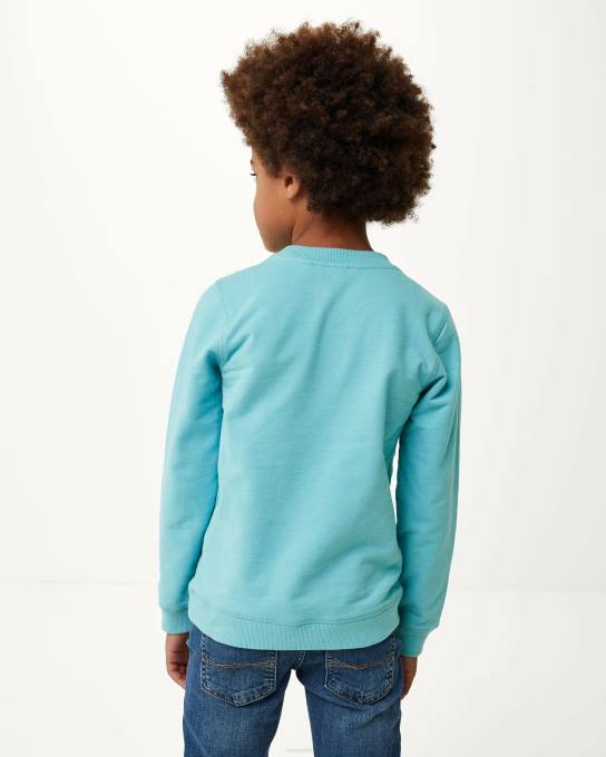 zils 42PB930 zēni Mexx crewneck mākslas darbs džemperis okeāns